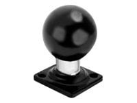 RAM - mounting component - black powder coat