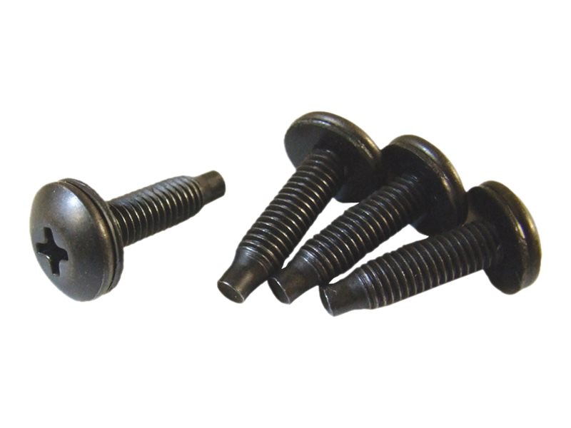 Hammond SCREW series 10-32 Phillips Head with Starter Tip - rack screws