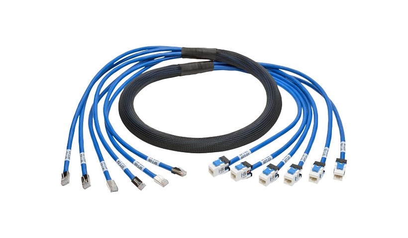 Eaton Tripp Lite Series Cat6a 10G Pre-Terminated Copper Trunk Assembly (6x RJ45 M/F), Blue, 10 ft. (3.05 m) - network