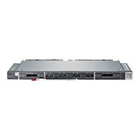 Brocade 16Gb/12 SAN Switch Module for HPE Synergy - switch - 12 ports - man