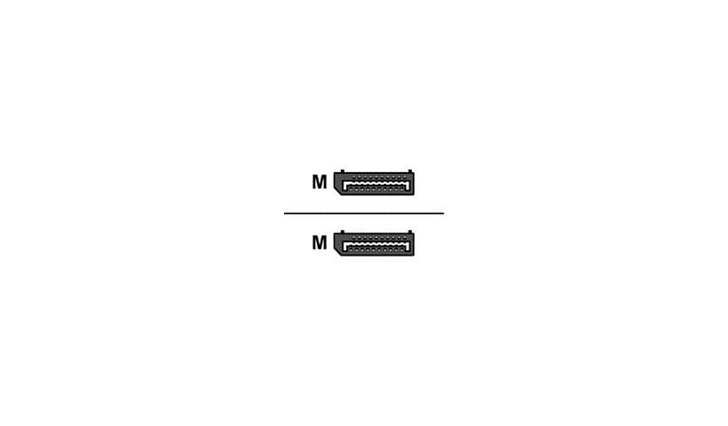 Proline - DisplayPort cable - DisplayPort to DisplayPort - 1.5 ft