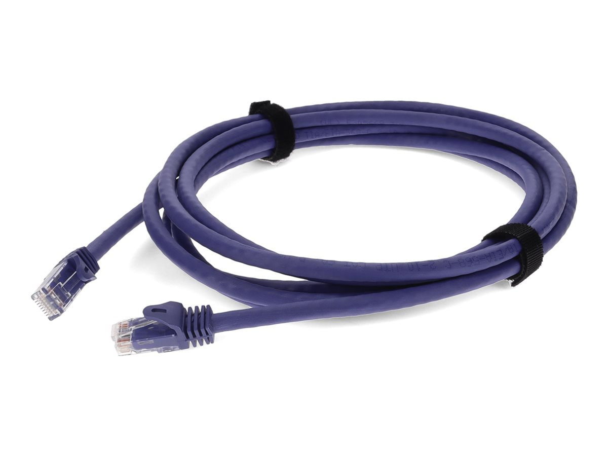 Proline patch cable - 2 ft - purple