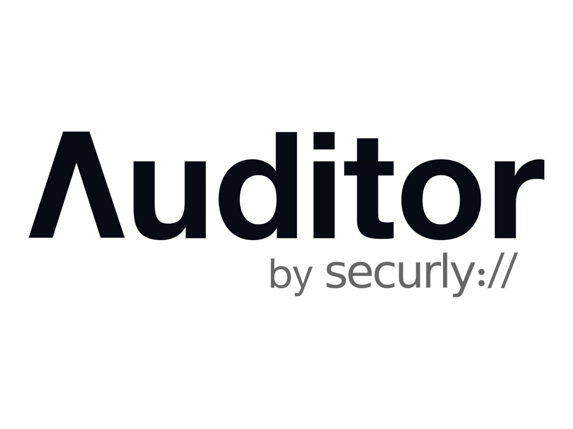 SECURLY AUDITOR 1Y