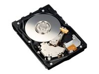 Hikvision 10TB Surveillance Hard Disk Drive