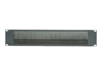 Panduit Brush Seal Blanking Panel with Front to Back Cable Pass-Through - blank panel - 2U