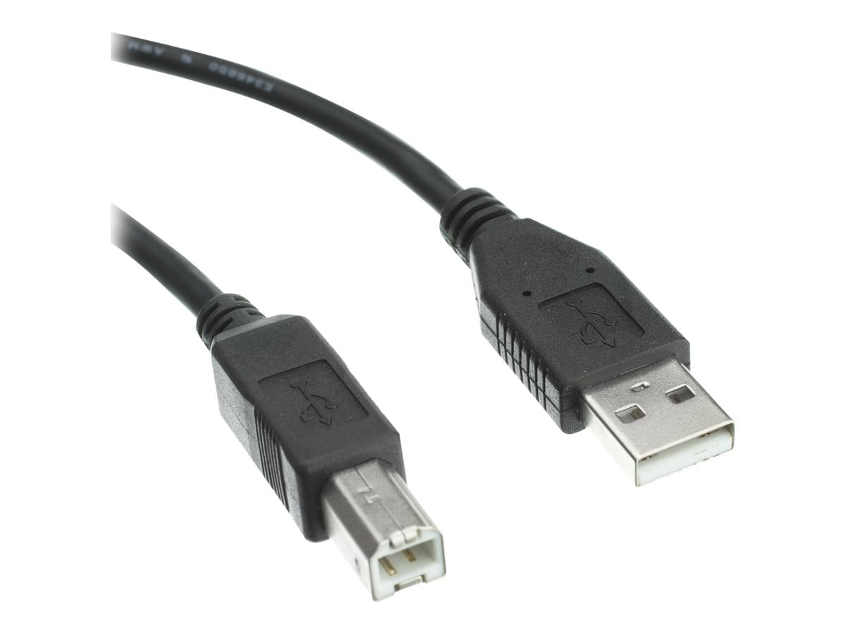 Axiom - USB cable - USB to USB Type B - 6 ft