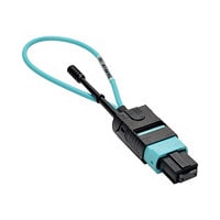 Tripp Lite MTP / MPO Fiber Optic Loopback Tester Multimode 50/125um OM3 - loopback cable - aqua