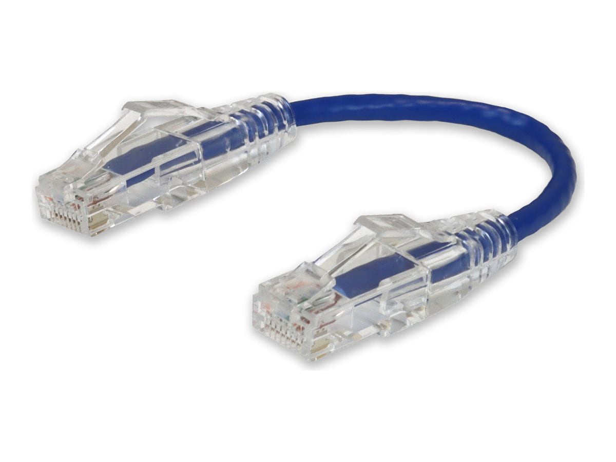 Proline patch cable - 5.9 in - blue