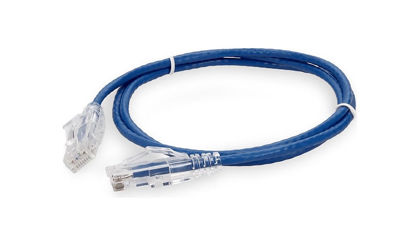 Proline patch cable - 1 ft - blue