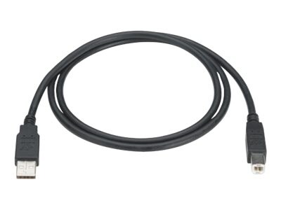 Black Box - USB cable - USB to USB Type B - 6 ft