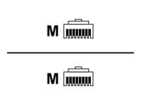 Proline 6in RJ-45 (Male) to RJ-45 (Male) Cat6 Straight Red UTP Copper PVC P