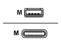 Cisco 4m USB-C Cable for Webex Room Kit