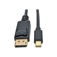 Eaton Tripp Lite Series Mini DisplayPort to DisplayPort Adapter Cable, 4K 60 Hz (M/M), DP Latching Connector, Black, 6