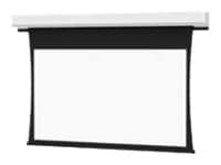 Da-Lite Tensioned Advantage Projection Screen - Case and Trim - HD Progressive 1.0 - Automatic Closure Door - 164in
