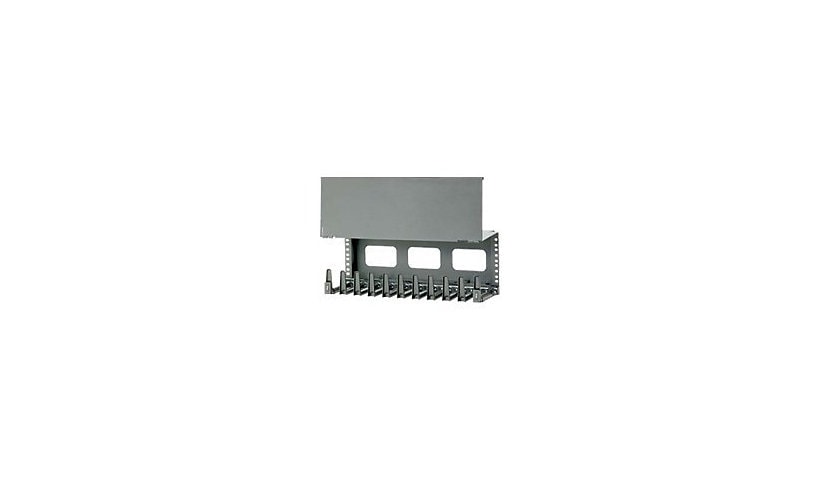Panduit High Capacity Horizontal Cable Manager - rack cable management kit