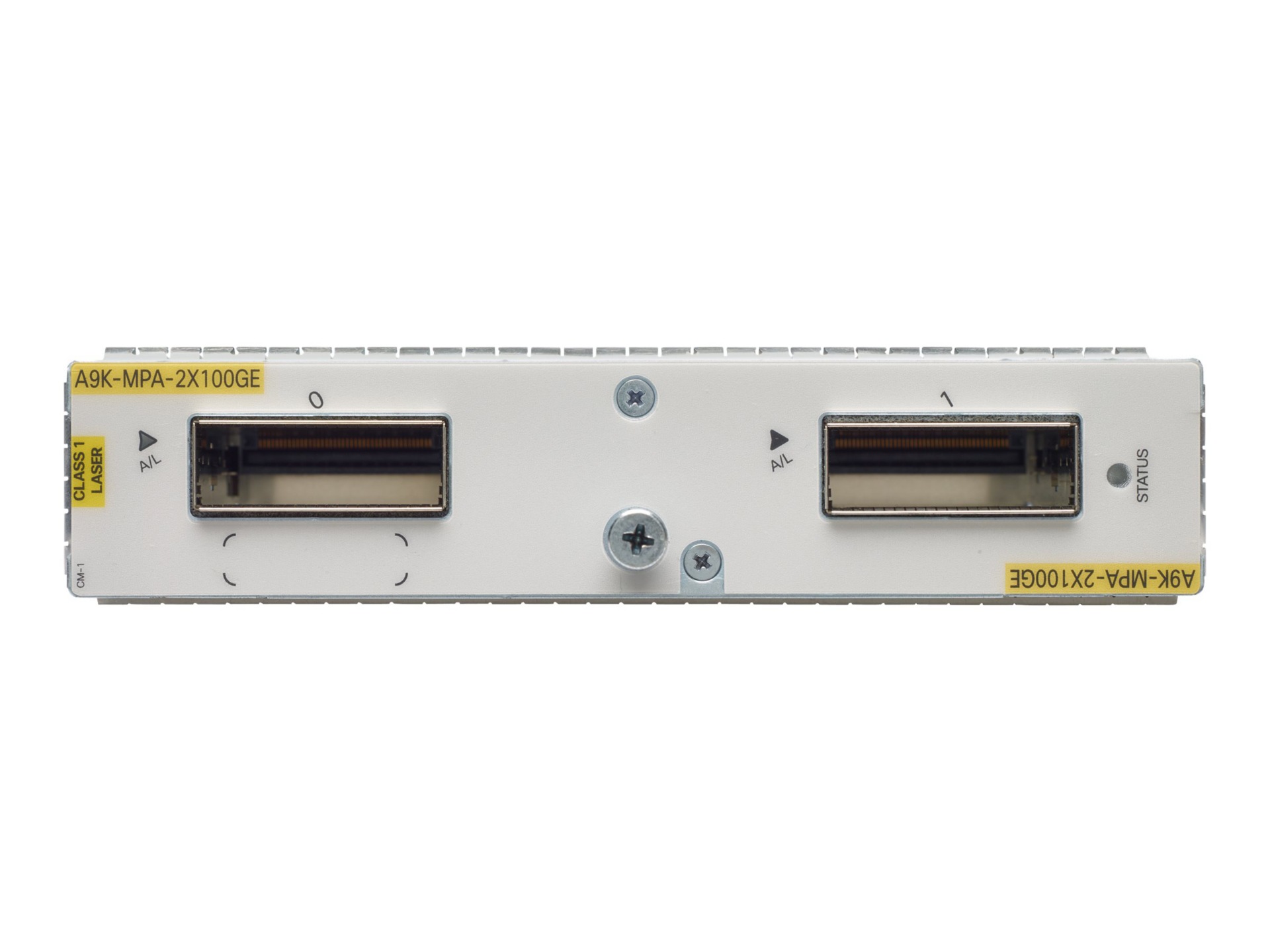 Cisco Ethernet Modular Port Adapter - expansion module - 100 Gigabit Ethernet x 2
