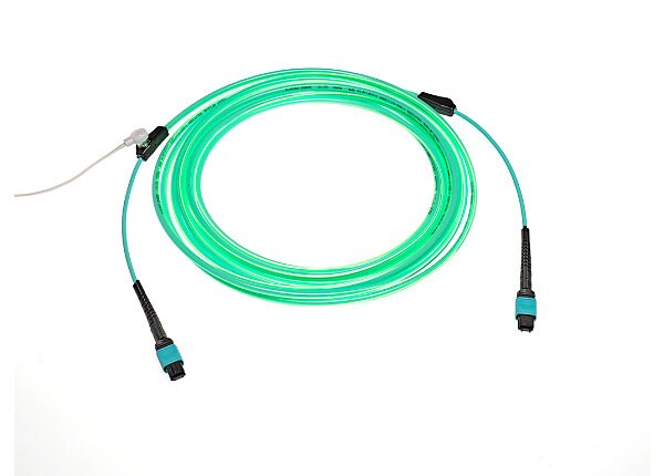 Molex Lumalink Tracer Fiber Cable, MPO (F) - MPO (F), 15 ft