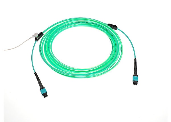 Molex Lumalink Tracer Fiber Cable, MPO (F) - MPO (F), 30 ft
