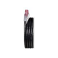 Allen Tel patch cable - 50 ft - black