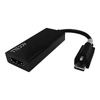 Accell adapter - HDMI / USB - 5.9 in
