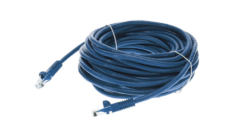 Proline patch cable - 35 ft - blue