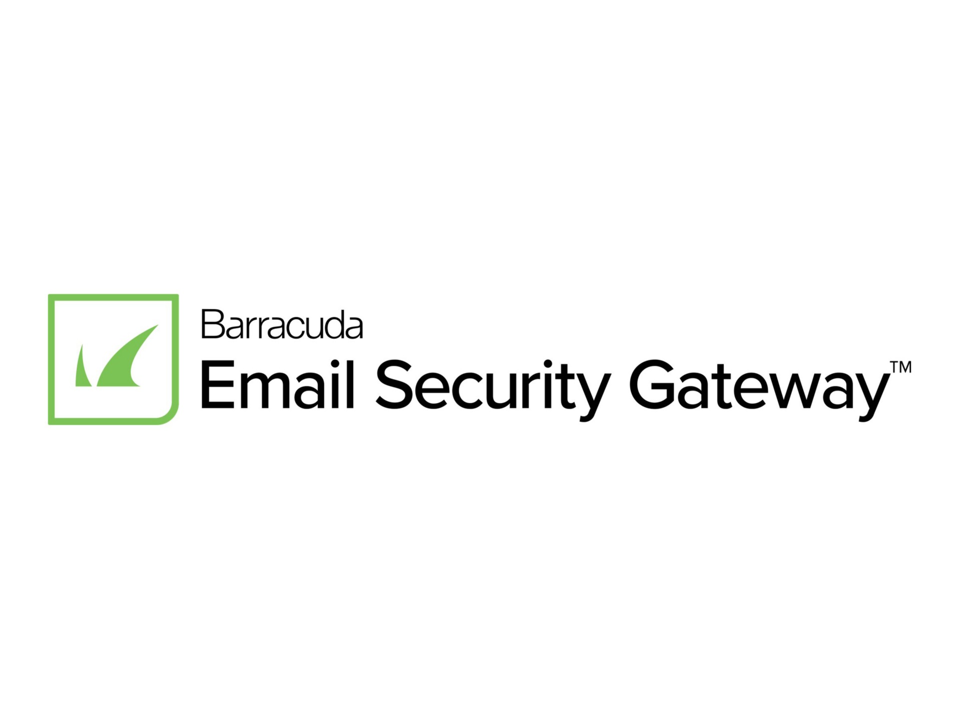 Barracuda Email Security Gateway 300Vx Virtual Appliance - subscription lic