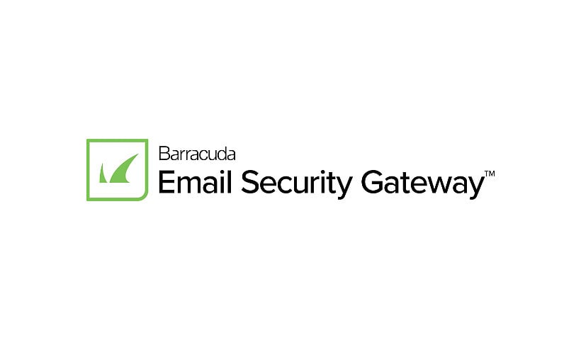 Barracuda Email Security Gateway 300Vx Virtual Appliance - subscription license - 1 license