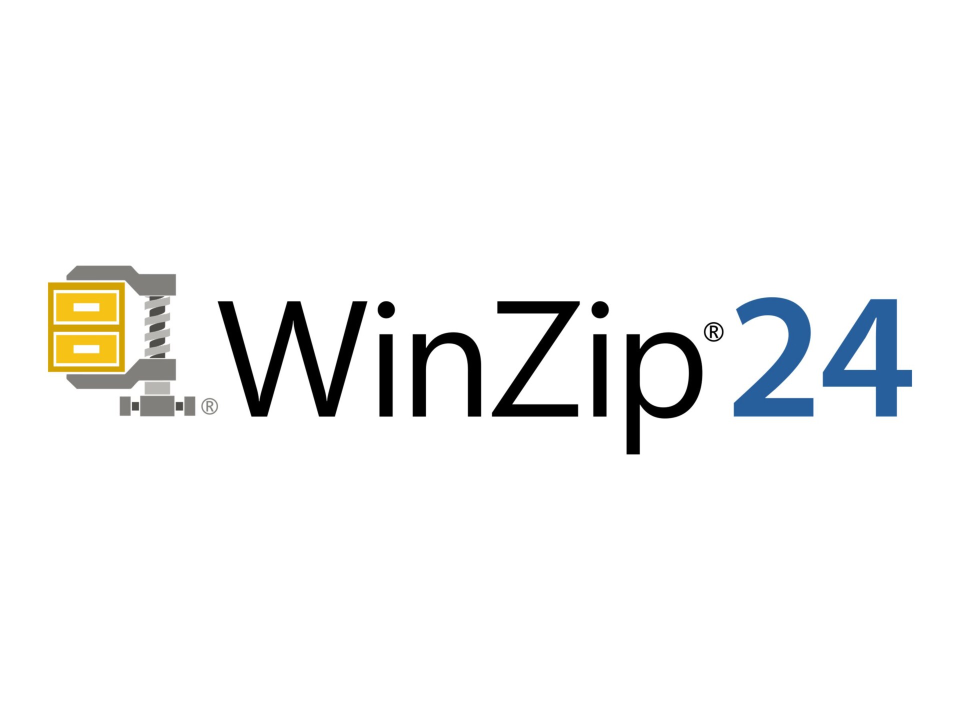 WinZip Standard (v. 24) - license - 1 user