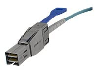Molex network cable - 3 m - aqua