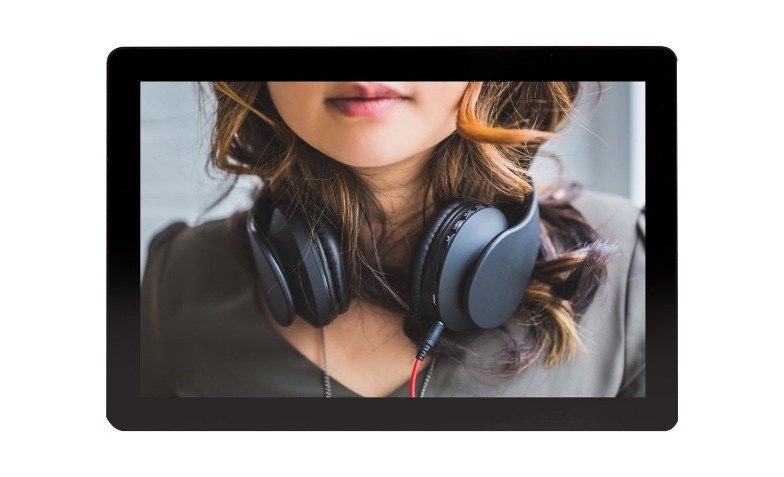 Bluefin BrightSign Built-In 10.1