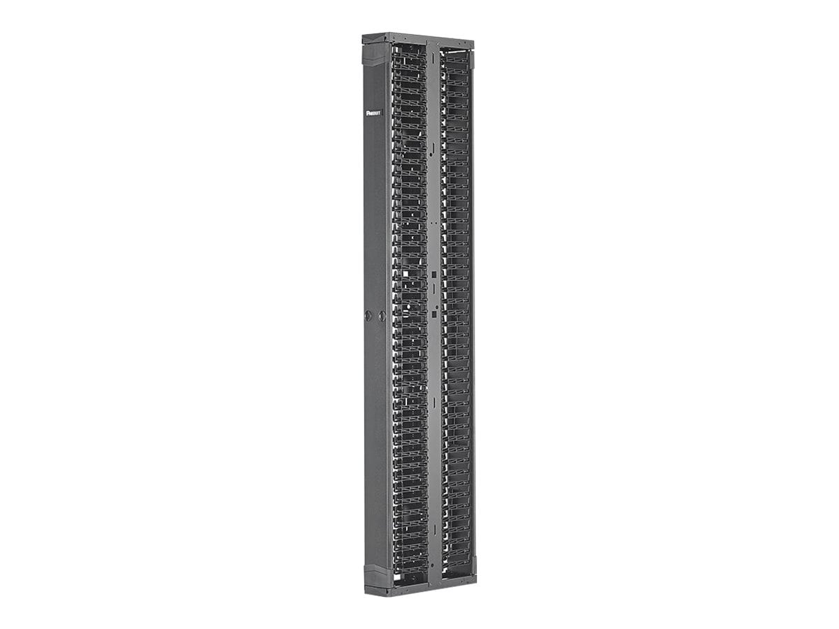 Panduit PatchRunner 2 Dual Sided Manager - rack cable management panel - 52U