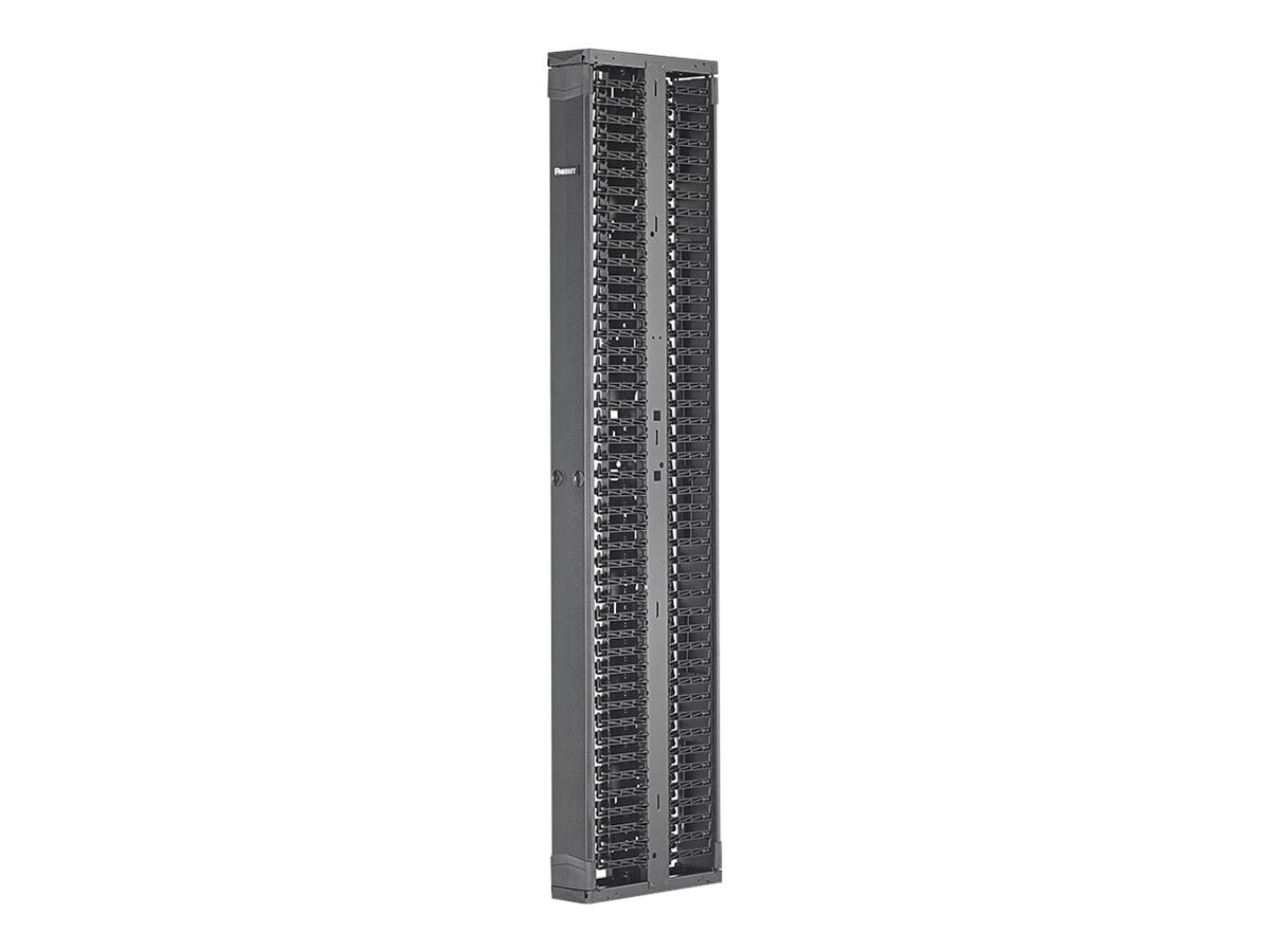 Panduit PatchRunner 2 Dual Sided Manager - rack cable management panel - 52