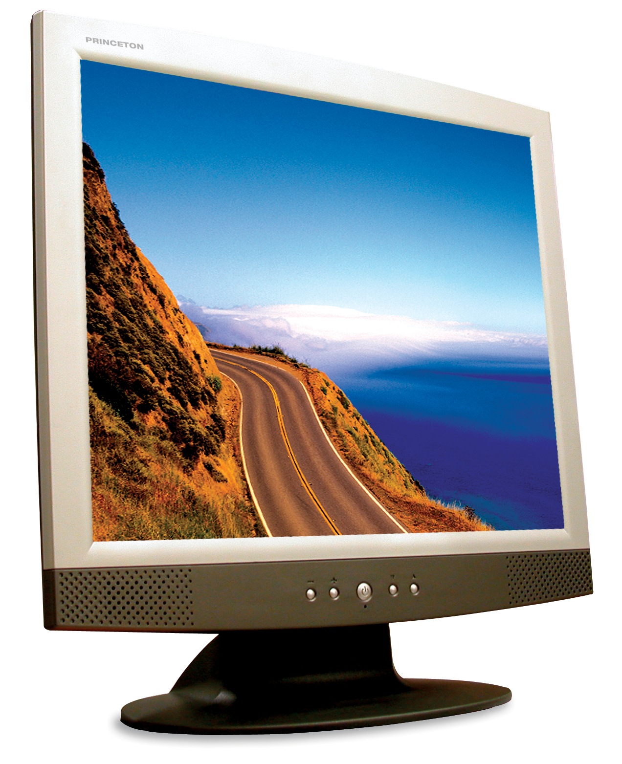 Princeton LCD17D