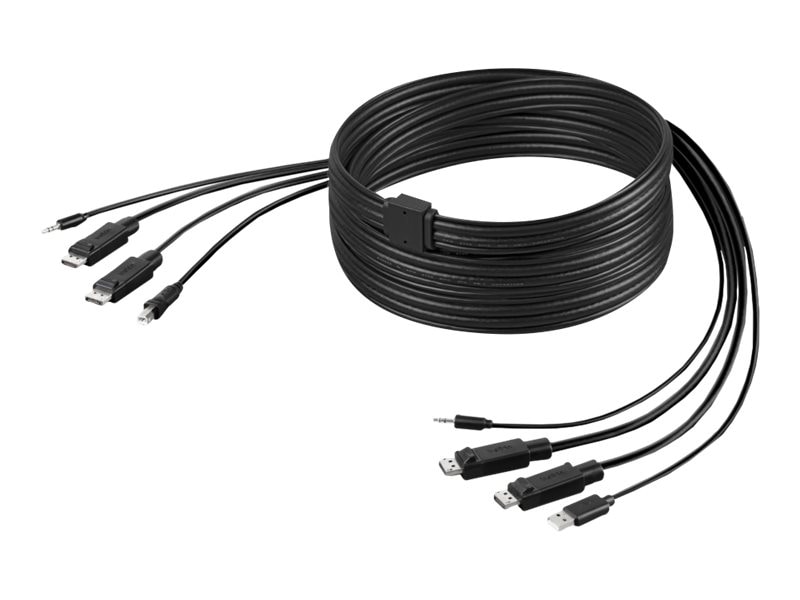 TAA Dual DP to DP KVM Combo Cable, 6'