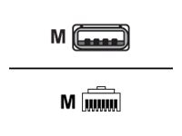 VeriFone - data cable - RJ-45 to USB - 3.3 ft