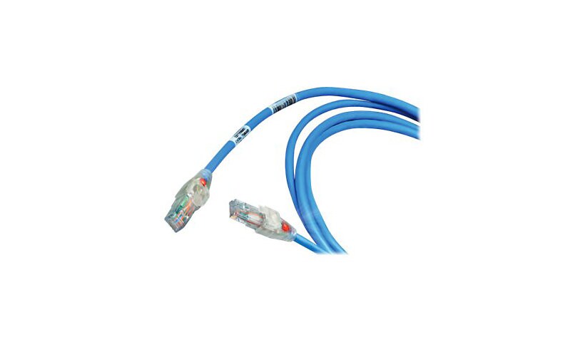 Belden patch cable - 6 ft - blue