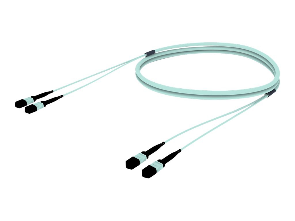 SYSTIMAX 19FT MPO12 M/M PLEN AQUA