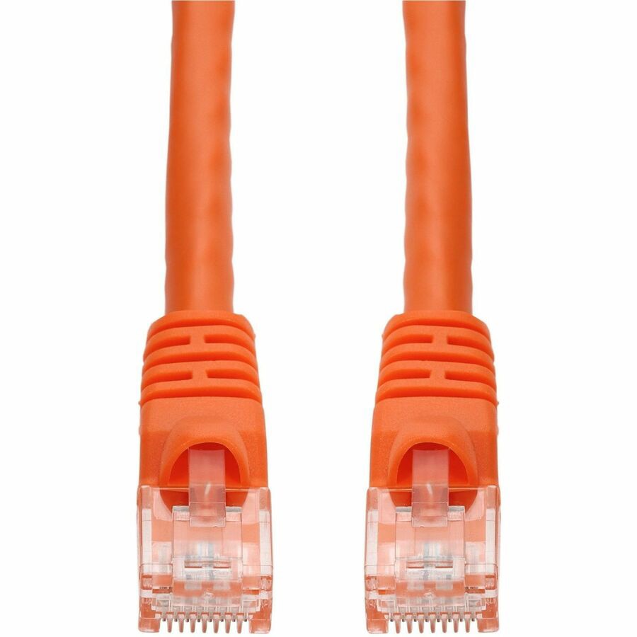 Proline patch cable - 2 ft - orange