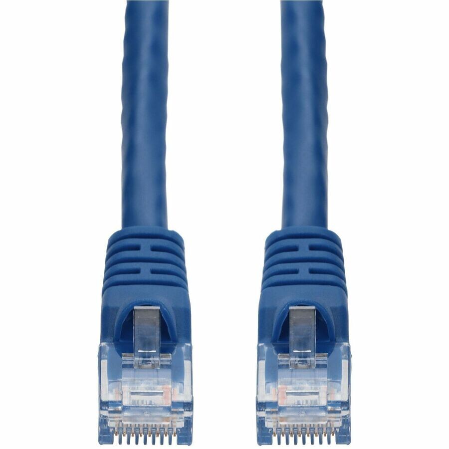 Proline patch cable - 50 ft - blue