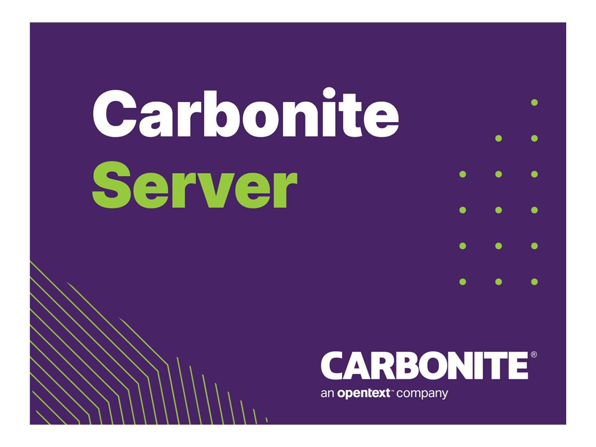 Carbonite Server - subscription license (1 year) - 500 GB capacity