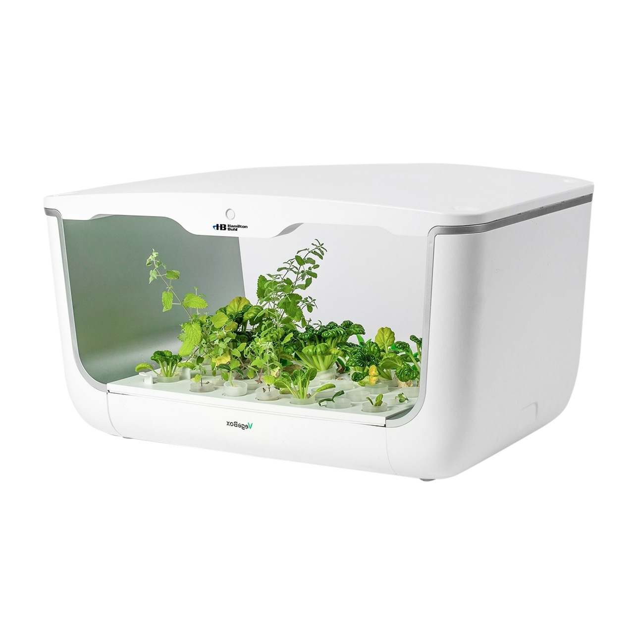 HamiltonBuhl STEAM Education Next-Gen Hydroponic LED GrowLight Kit