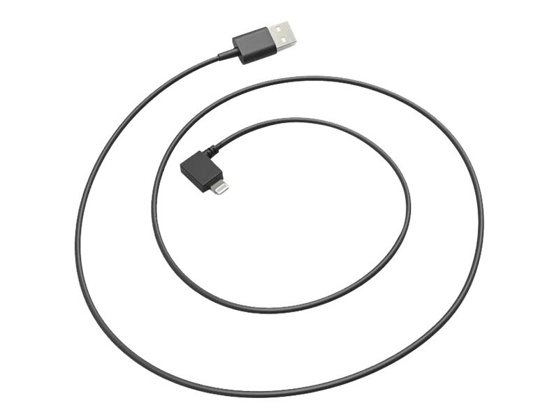 Heckler Design WindFall - Lightning cable - Lightning / USB - 3.3 ft