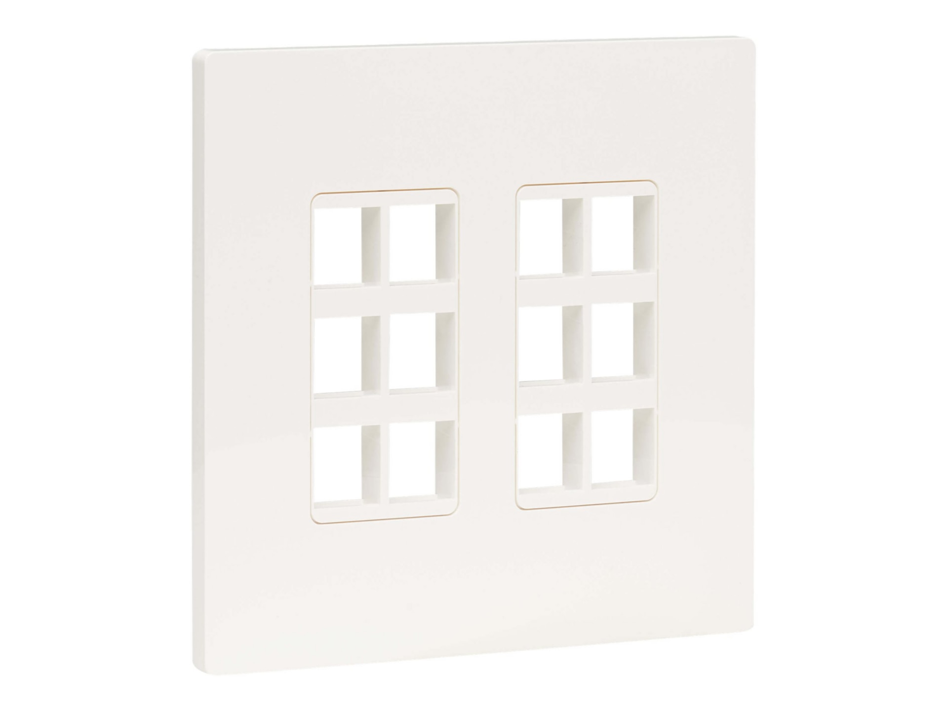 Eaton Tripp Lite Series 12-Port Double-Gang Universal Keystone Wall Plate, Cat5e/6/6a, USB, HDMI, DisplayPort, White,