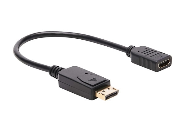 temperament import Contain Tripp Lite DisplayPort to HDMI Adapter Converter 1080p DP to HDMI M/F 1ft -  P136-001 - -
