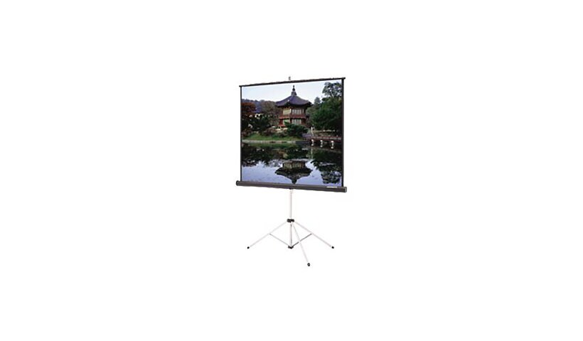 Da-Lite Picture King projection screen with tripod