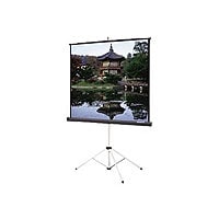 Da-Lite Picture King projection screen with tripod