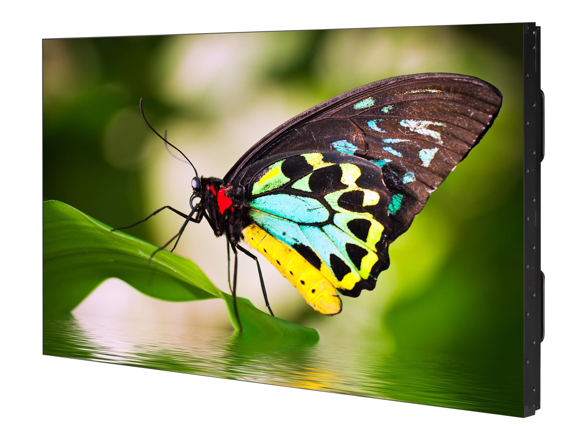 NEC MultiSync UN552-TMX4P 55" LCD video wall - Full HD - for digital signage