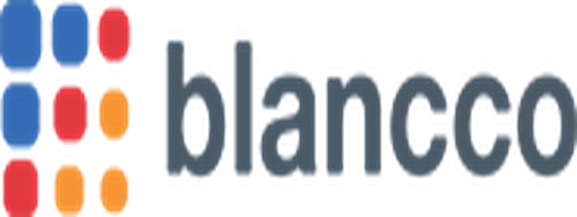 Blancco SMB Service Provider Bundle SMB100 - subscription license (1 year) - 100 drives