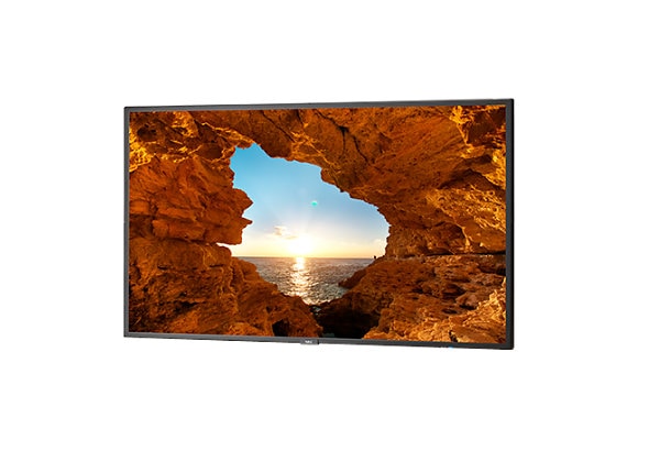 NEC V484 48" Commercial-Grade Large Format Display with 1 Yr License