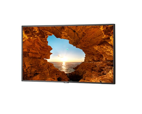 NEC V484 48" Commercial-Grade Large Format Display with 5 Yr License